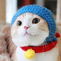 微雨雪儿
