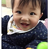 Ai 李子