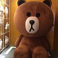 丹31777