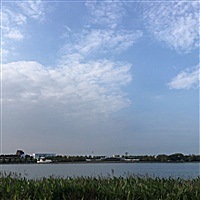 兮兮宸宸