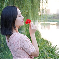daisy小狗子