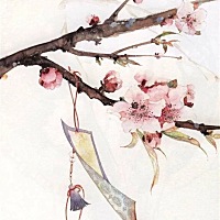 北京总部程经理