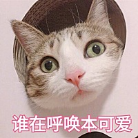 郭蒙蒙蒙蒙[帖主]