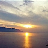 所有的宝妈健康孕