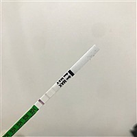 你的主角