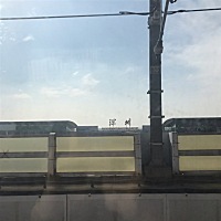 小凤