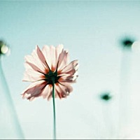 ^O^爱笑de眼睛^O^