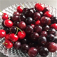 A    电源线制造商