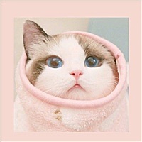 不知道起啥名啊