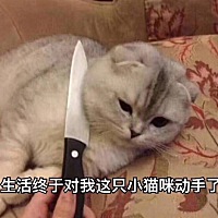 闪电公主