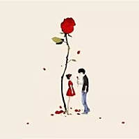夏虫语冰（Merry）