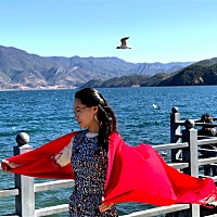 绫波波曼