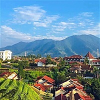 执念成殇，泪倾城