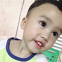 🐛🐛虫虫飞🐛🐛