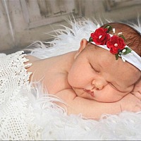 🐯大海的公主🌹🌹