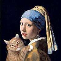 宁宁宁宁宁宁☜