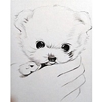 Duang的一下就美了🌨