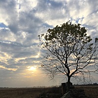 Smurfs.大户人家的蓝桂子🐳
