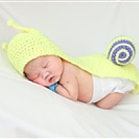 吃的圆圆的去过冬