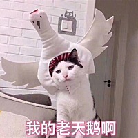 美景良陈