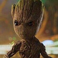 Groot .