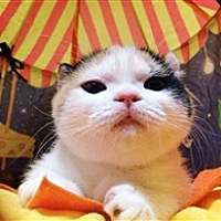 浮生若梦