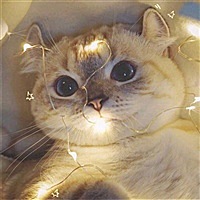 我喜欢你哄着我的样子