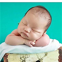 红鲤鱼与绿鲤鱼与驴