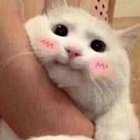 果果的幸福生活