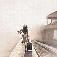 A💖平平淡淡的幸福💖🍄