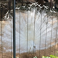 勾勾手指头丶一起到白头