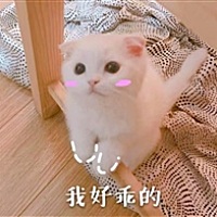 你呀你