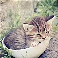 伴我👣一生牵挂