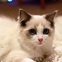 魏红霖🦉融资贷款13632867314[帖主]