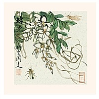 桔子水