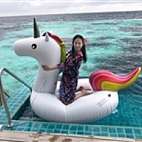 🏝夏帆莓香