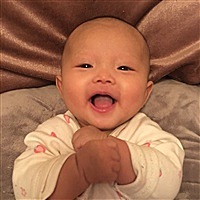 绿豆娃娃Kv8a[帖主]