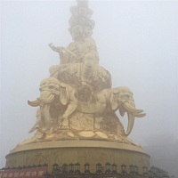 婷宝