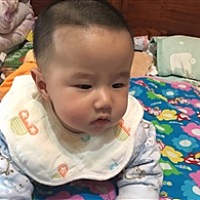绿豆娃娃v45L