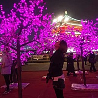 🎀圓✨💋圓🎀[帖主]