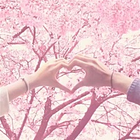 理由不要任何解释