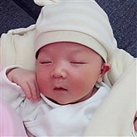 绿豆娃娃1Io6