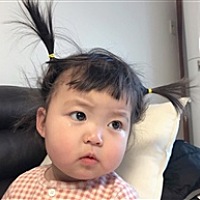 臭蹦蹦赖屁喵