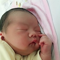 元宝。