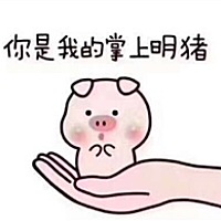 掌上明猪