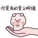 掌上明猪
