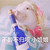 木可荧荧