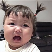 初见