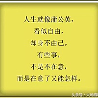 爱似流星 🌹
