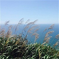 陈陈